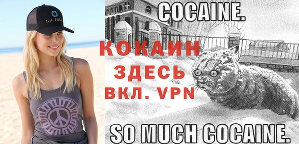 стафф Белокуриха